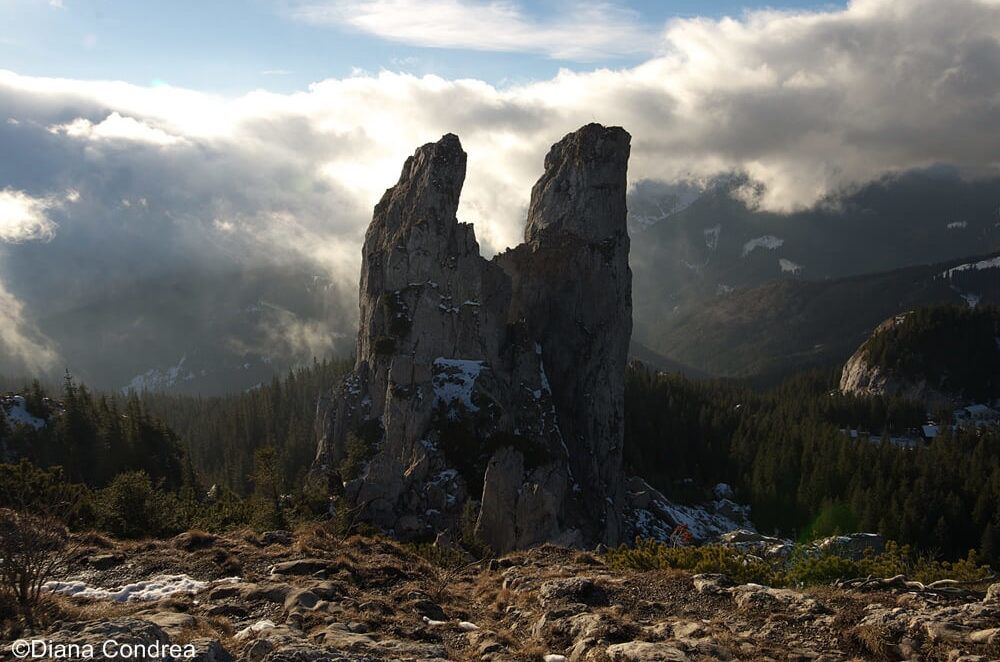 Skywalk Rarau Rarau Mountains: Panoramic Views and Easy Hikes - Uncover Romania