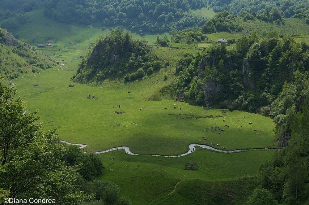 nature in Romania